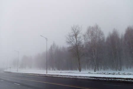 Foggy winter morning on a cloudy day. The onset of cold weatherの写真素材