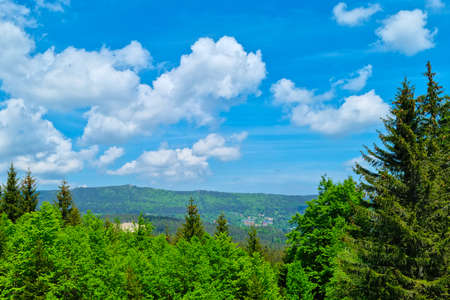View from a height of a green forest in a mountainous areaの写真素材