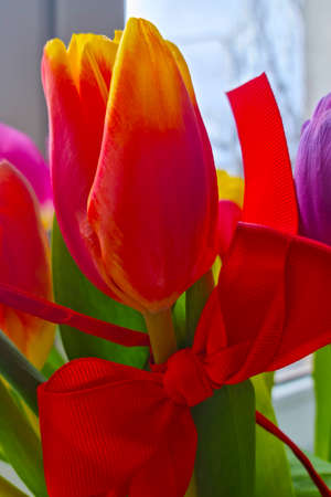 Close-up on a bouquet of tulips. Congratulations on the holidayの写真素材
