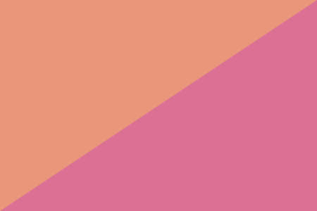 The trending color of 2022 is pink and soothing coral. A symbol of strength, calmness, health and happinessの写真素材