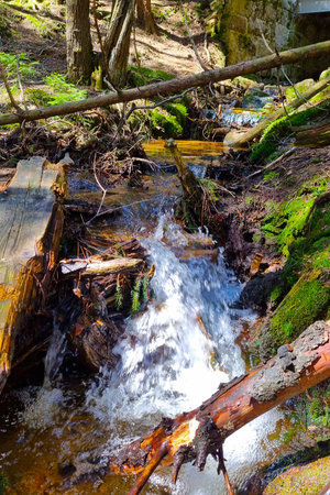 A small mountain stream flows into the forest. Clean clear waterの写真素材