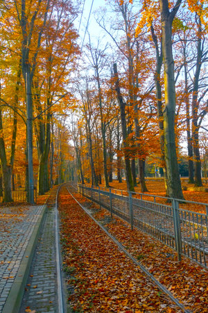Beautiful bright tram tracks in autumnの写真素材