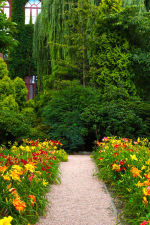 A flowering flower bed in the park in springの写真素材