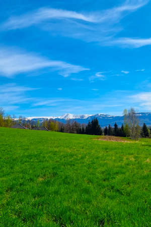 A picturesque view of the mountains and the green meadow on a sunny dayの写真素材