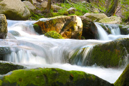 A river flows through the rocks in the forest in the mountainsの写真素材