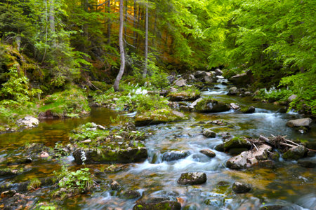 Out of focus, blurry background, a small forest river flowing over rocks