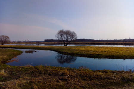 View of a small overflowing river in the spring in a meadowの写真素材