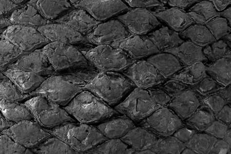 Beautiful dark texture of the bark of the tree, background