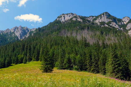 Scenic views of the mountains on a summer day