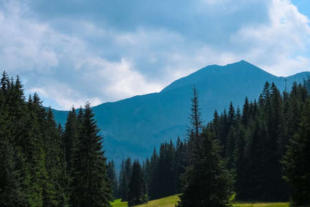 View of the mountains in a haze. The background of nature