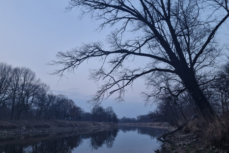 A mystical foggy autumn morning on the banks of the river