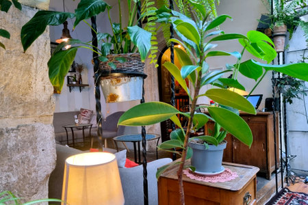Beautiful different indoor plants, interiorの写真素材