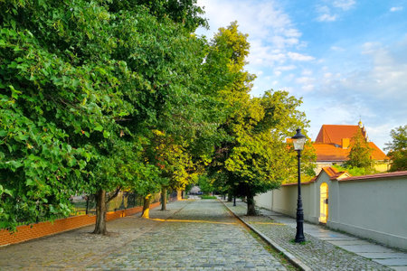 Beautiful green street in the old part of the city, the background of the city.の写真素材