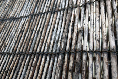 Texture of wooden or bamboo fence, backgroundの写真素材