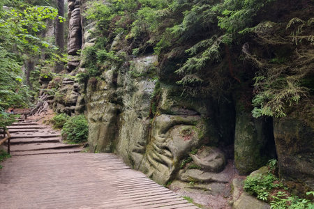 Wooden decking in the woods for a walk. Hiking in the fresh airの写真素材