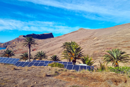Beautiful views of the green palm trees and yellow mountains of Madeira.