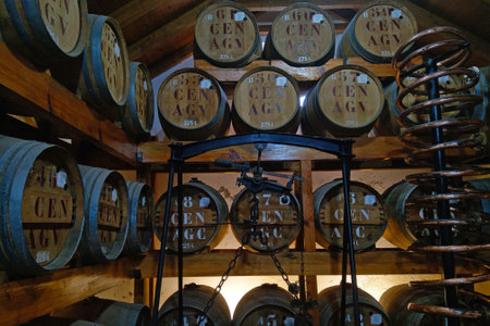 Madeira, Portugal, 27 November 2022: barrels for storing rum and port wine. Alcohol production...