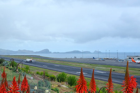Madeira, Portugal, November 25, 2022: plane on the runway at Funchal airport, Madeira, Portugal.のeditorial素材