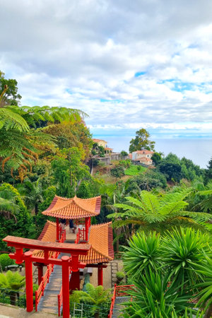 View from a height of the green tropical gardenの写真素材