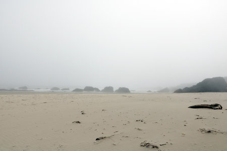 A foggy morning by the sea or oceanの写真素材
