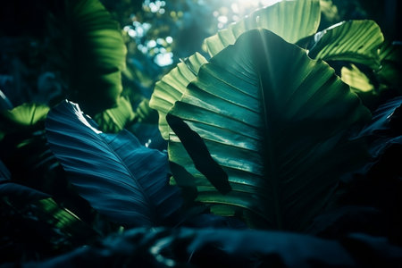Green tropical gardens. Young plants. Generative AIの素材