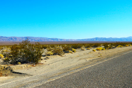 Beautiful scenic road in the desert in Americaの写真素材