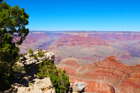 Beautiful view of the Grand Canyon in USA Parkの写真素材
