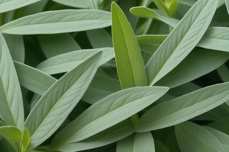 green leaves background. Generative AIの素材