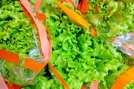 Fresh green lettuce bunches neatly packed in clear plastic bags, each adorned with an orange ribbon. the vibrant hues and crisp texture make this an ideal image for promoting organic produce, farmers' markets, grocery stores, and healthy eating campaigns.の写真素材