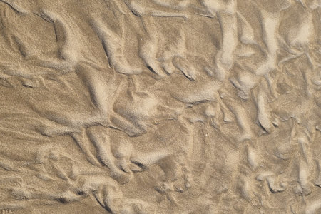 A high-resolution close-up of natural sand showing intricate patterns formed by wind and water. the...