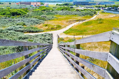 Wooden pathway leading downhill through lush greenery and fields, ending at a coastal view. the landscape features winding paths, distant buildings, and a blend of natural and rural scenery, ideal for travel and nature enthusiasts.の写真素材
