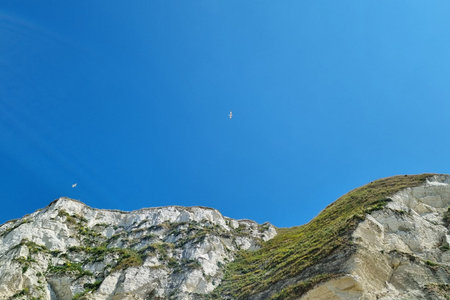 Two seagulls soar high against a backdrop of clear blue sky, above rugged white cliffs with patches...