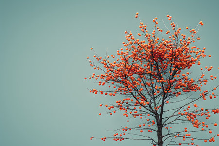 A striking photograph of a persimmon tree laden with bright orange fruits set against a clear blue sky. the image beauty and simplicity of nature, making it ideal for use in wall art, prints, and various design projects. Generative AIの素材