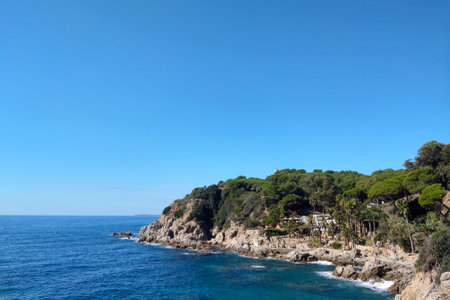 Coastal scene featuring a rocky shoreline with lush green trees under a bright blue sky. tranquil...