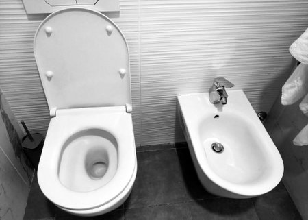 Clean and contemporary bathroom featuring a toilet and bidet side by side. the minimalistic design highlights functionality and elegance, ideal for home renovation projects aiming for comfort and hygiene.の写真素材