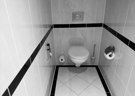 Wall-mounted toilet in a sleek, minimalist bathroom featuring monochrome tile decor. the design...