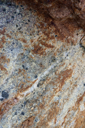Close-up of a natural rock surface showcasing a blend of earthy tones and rugged textures. the...