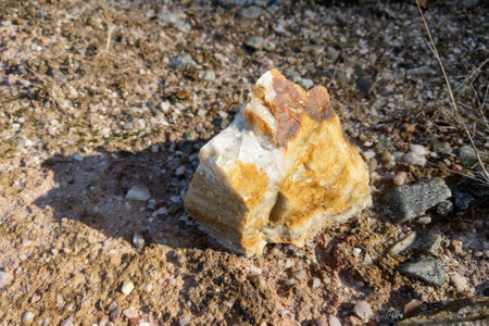 A close-up of an intriguing rock formation showcasing contrasting colors and intricate patterns on a rugged terrain. the sunlight highlights the textured surface, illustrating the beauty of natural geological processes.の写真素材