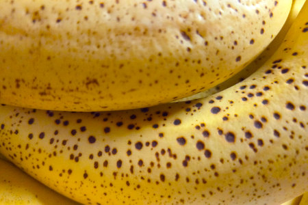 A detailed close-up of ripe bananas showcasing their distinctive brown spots, natural ripeness. ideal for concepts related to nutrition, organic produce, and healthy eating. perfect for food photography themes.の写真素材