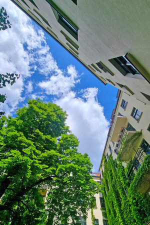 Skyscrapers frame a vibrant summer day, contrasting against a bright blue sky with wispy clouds. lush green trees and ivy-clad buildings add a touch of nature to the urban landscape, creating a serene, harmonious environment.の写真素材