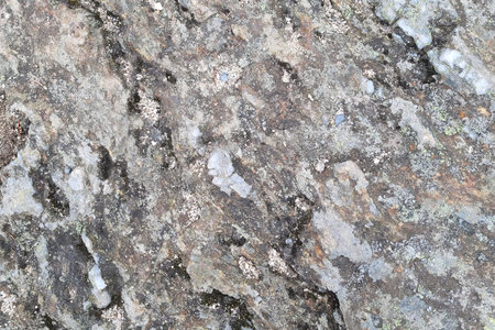 High-resolution close-up of a rugged rock surface featuring unique patterns and natural colors. ideal for backgrounds in digital design, artistic projects, and environmental themes, emphasizing texture and geology.の写真素材