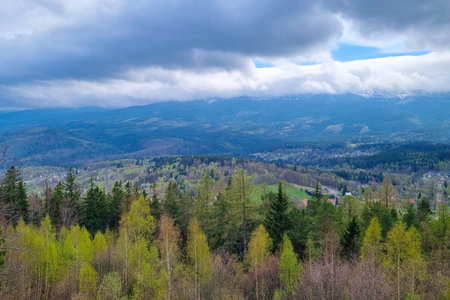 Scenic spring view of a lush forest with varied green hues under a cloudy sky, nestled at the foot of a mountain range. the landscape showcases rolling hills, dense woodlands, and a hint of human habitation in the distance.の写真素材
