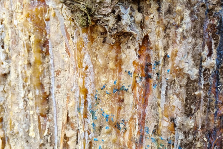 Detailed close-up of tree bark showcasing rich textures of resin streaks and natural grooves. ideal...