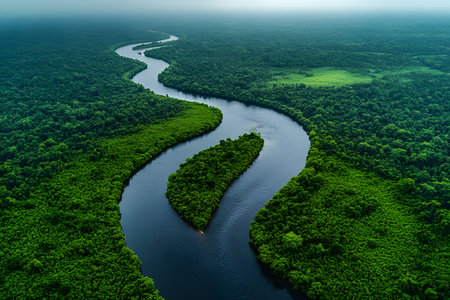 Aerial view of a winding river meandering through a dense, lush green forest, surrounded by vast greenery. the peaceful scene exudes tranquility and natural beauty, showcasing the serene harmony between water and forest. Generative AIの素材