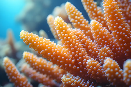 Close-up of vibrant orange coral reef formations thriving underwater. detailed textures and bright colors highlight the reef's ecological importance, contributing to marine biodiversity and conservation awareness. Generative AIの素材