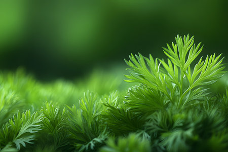 A lush green foliage close-up, showcasing vibrant leaves bathed in gentle light. ideal for nature, wellness, and environmental themes, this image embodies tranquility and freshness with a focus on natural beauty. Generative AIの素材