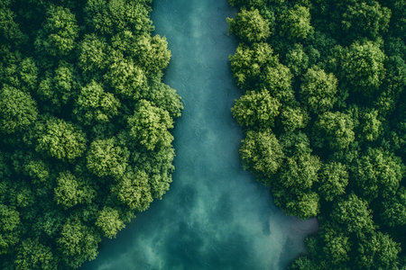A captivating aerial view dense, vibrant green foliage of a lush forest flanking a serene blue river. the harmonious blend of nature highlights the contrast between the rich greens and tranquil blues, evoking a sense of peace and natural beauty. Generative AIの素材