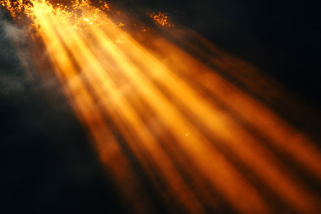 Sunbeams filter through tree foliage, creating a warm, golden glow against a dark backdrop. the interplay of light and shadow evokes a serene, mystical atmosphere, ideal for various design projects or as an inspirational background. Generative AIの素材