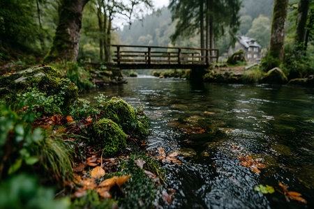 Tranquil forest scene featuring a wooden bridge over a gentle stream, surrounded by moss-covered rocks and lush greenery. the peaceful atmosphere and soft light make it ideal for nature-themed designs or tranquil settings. Generative AIの素材