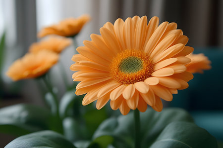 Close-up of a vibrant orange gerbera daisy showcasing its delicate petals and intricate center. bathed in soft natural light, the flower exudes freshness and elegance, ideal for botanical themes and home decor. Generative AIの素材
